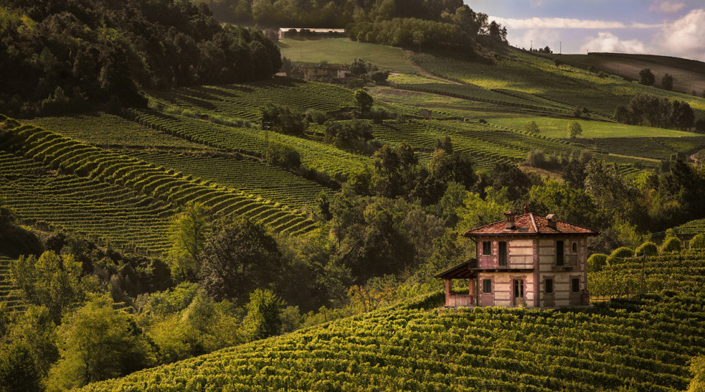 Langhe - Vista sulle vigne di Barolo - Valerio Li Vigni