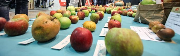 Terra Madre - Salone del Gusto 2016 a Torino