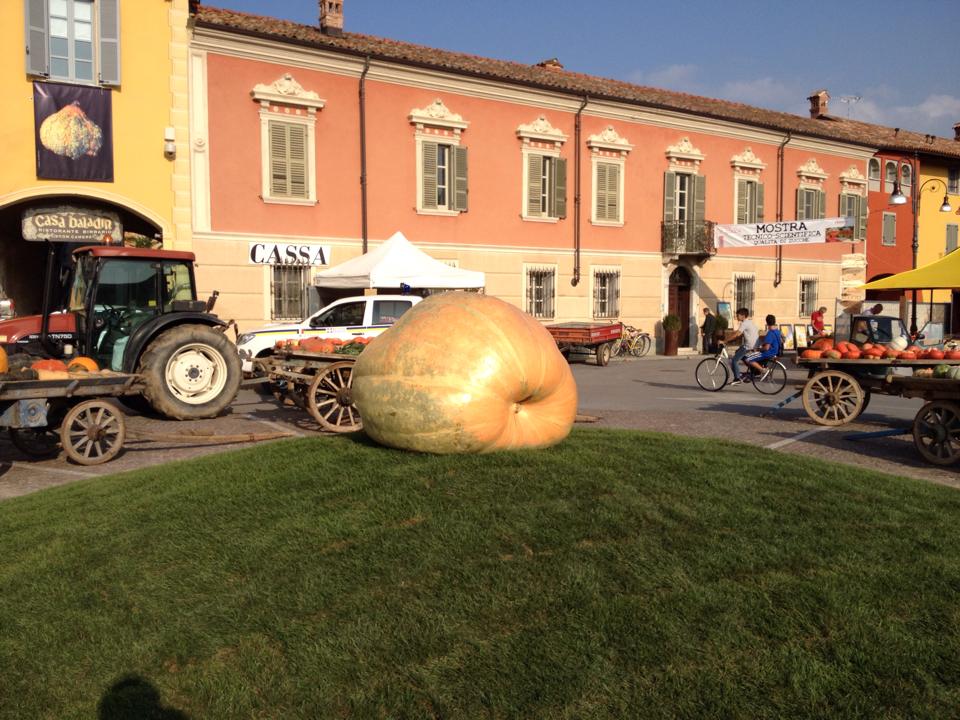 Fiera regionale della zucca a Piozzo