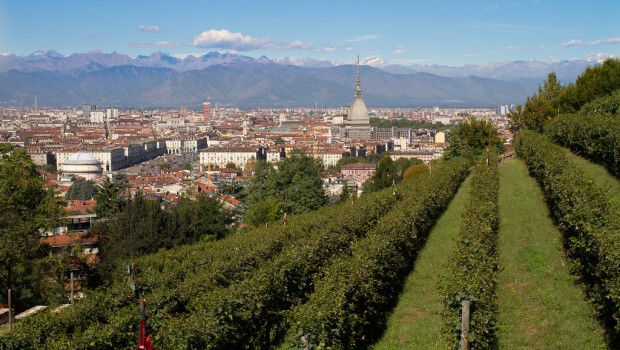 Torino vista dai vigneti di Villa della Regina