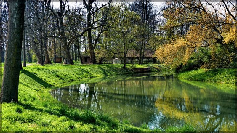 Uno scorcio del giardino all'inglese del castello di Racconigi