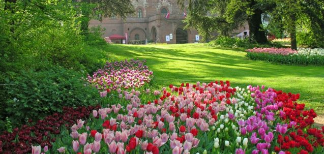 Messer Tulipano La magia dei tulipani nel castello di Pralormo