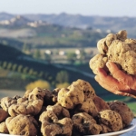 Per una storia della Fiera Internazionale del Tartufo Bianco d’Alba