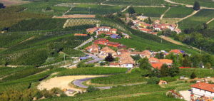 Barolo